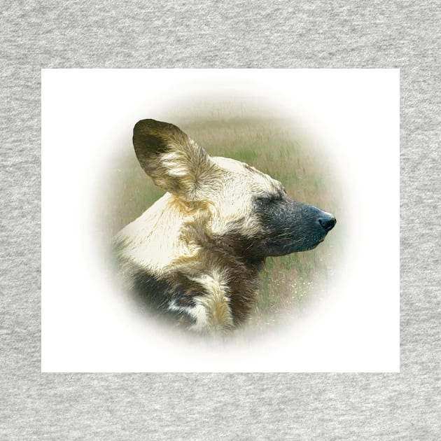 African wild dog by Guardi